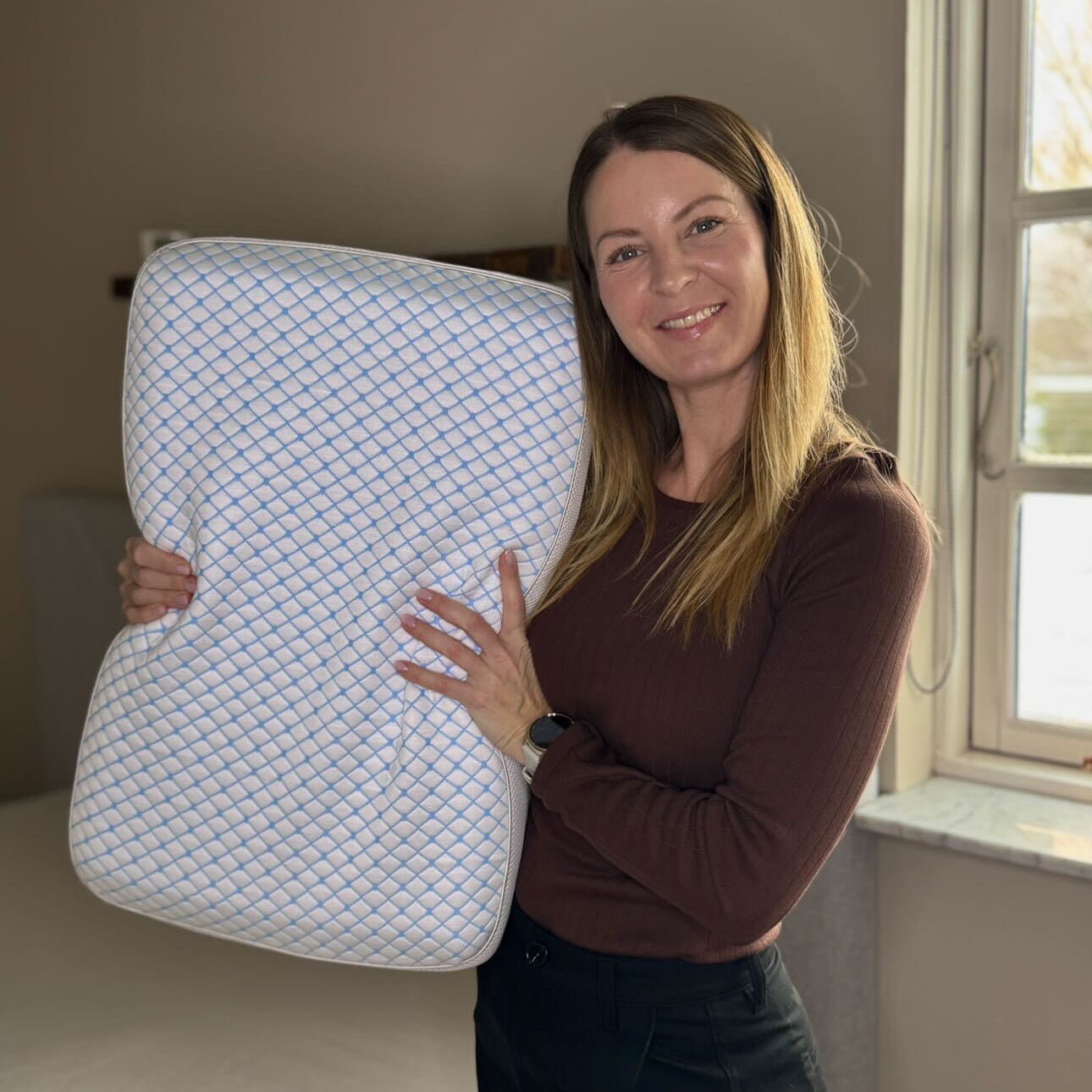All Season Pillow