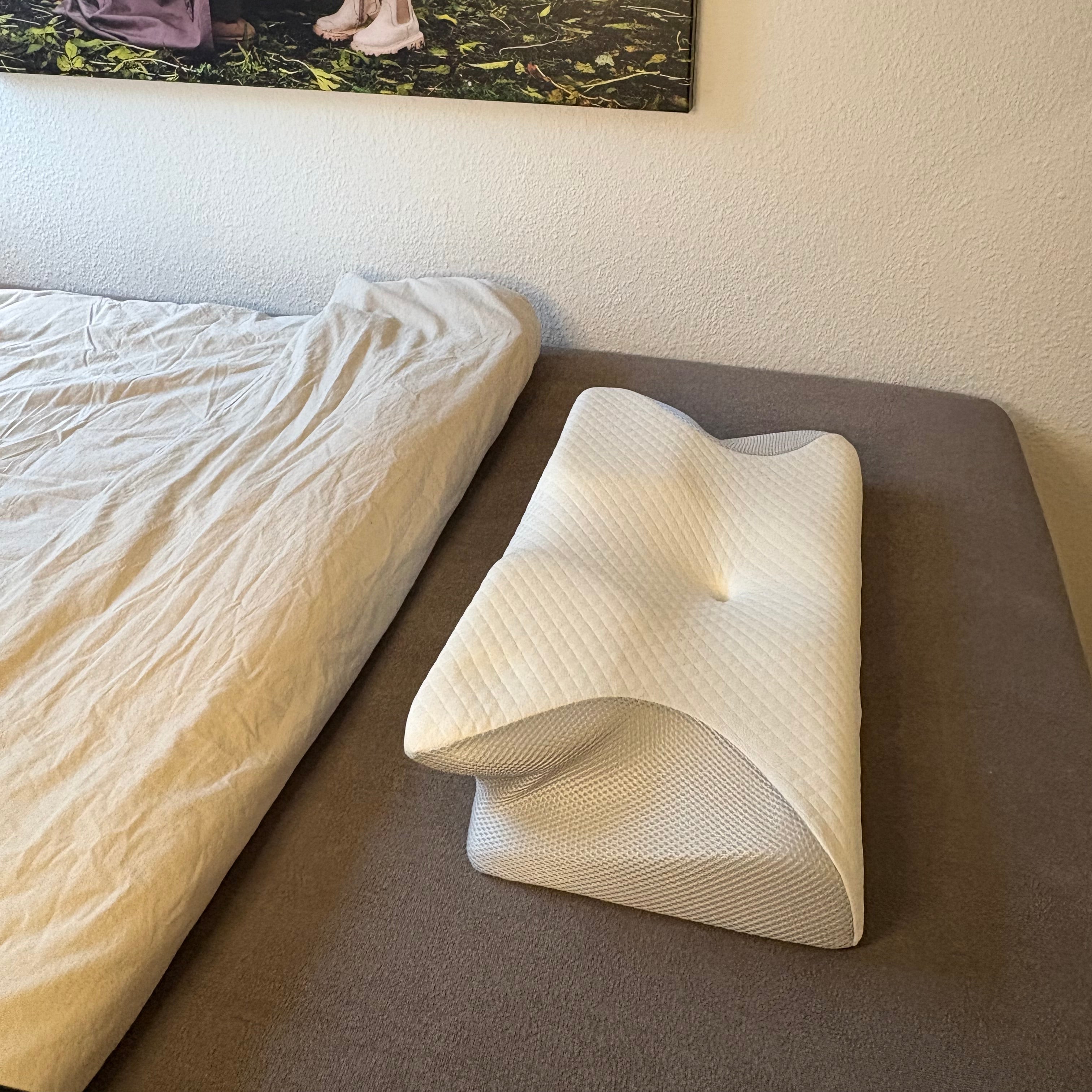 The Butterfly pillow