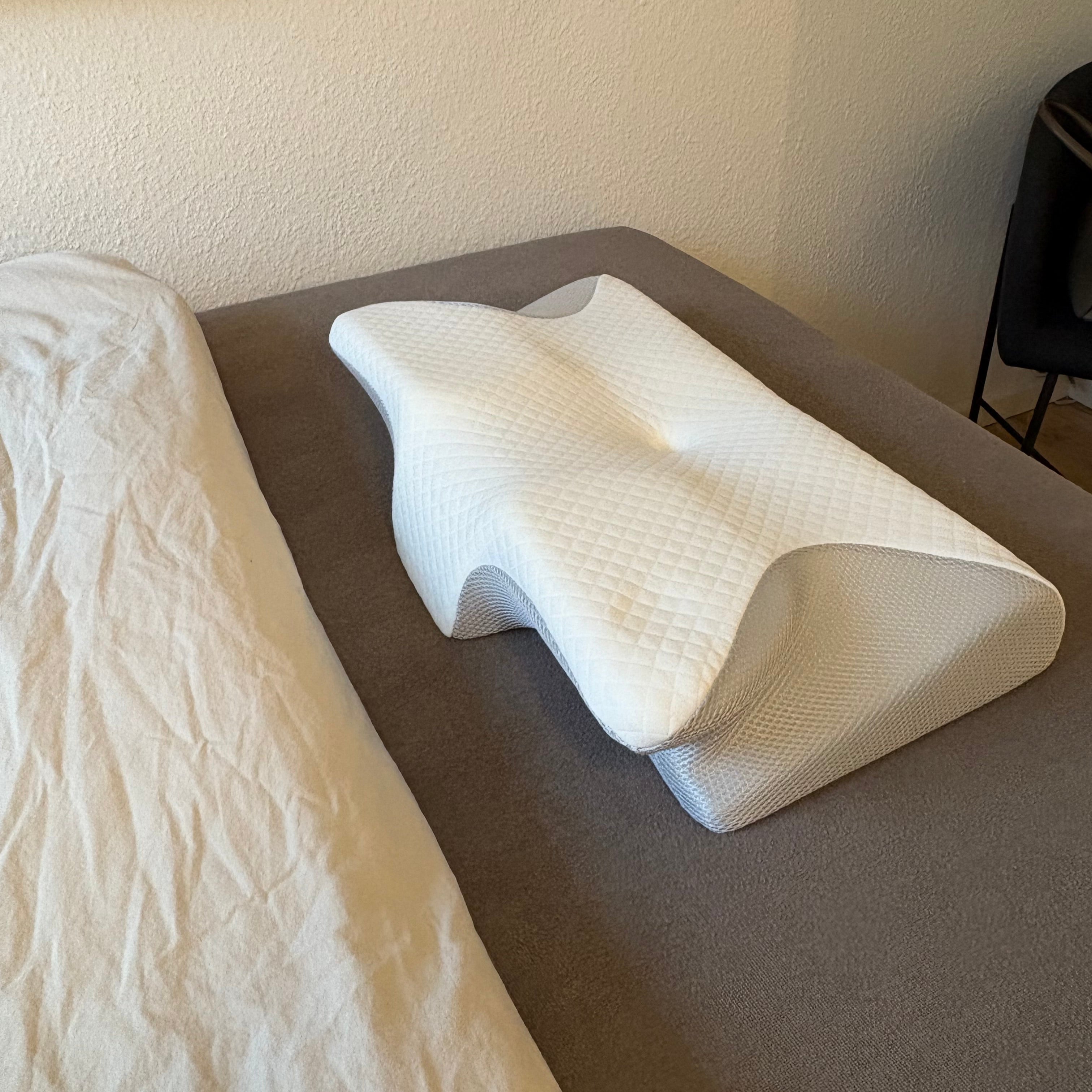 The butterfly pillow