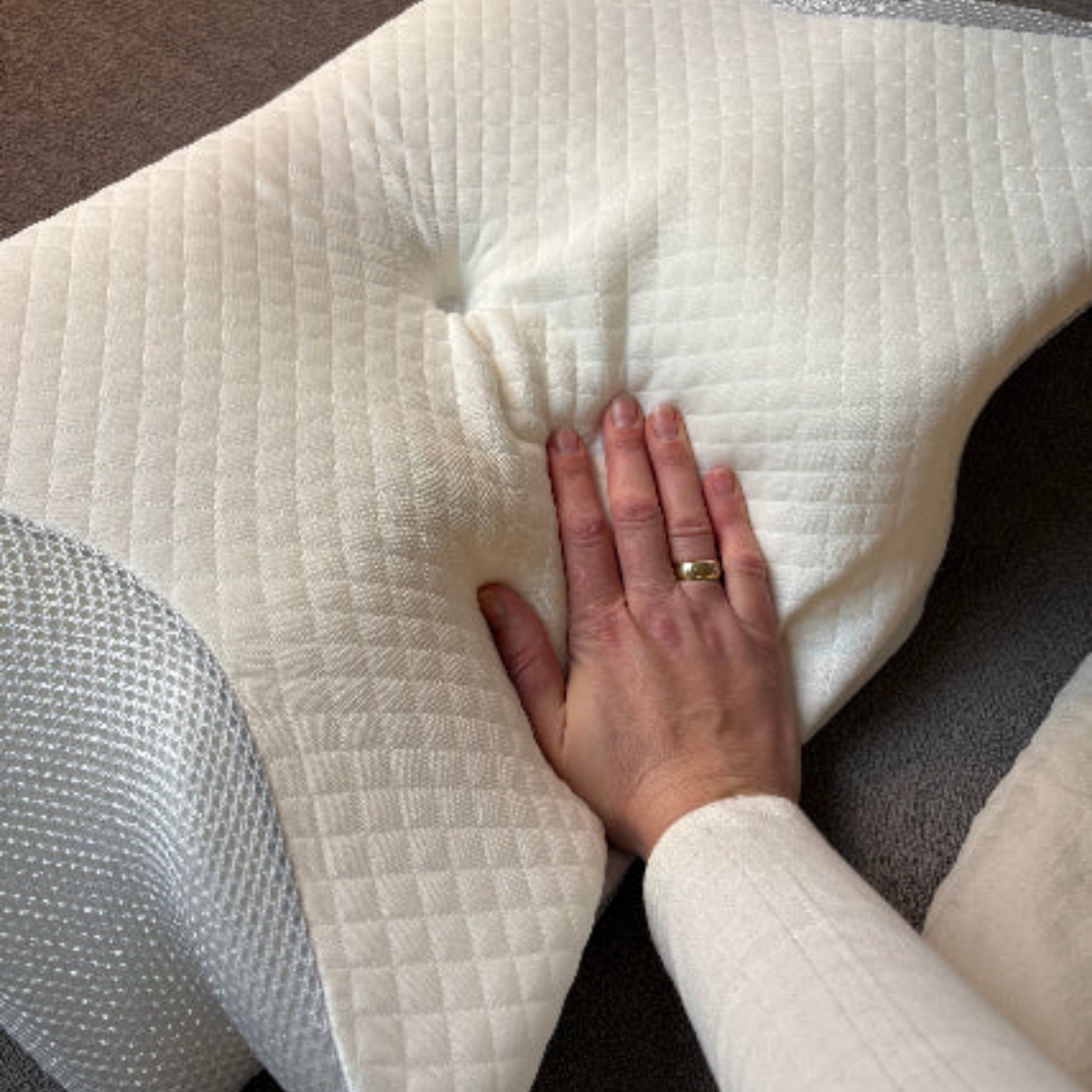 The butterfly pillow